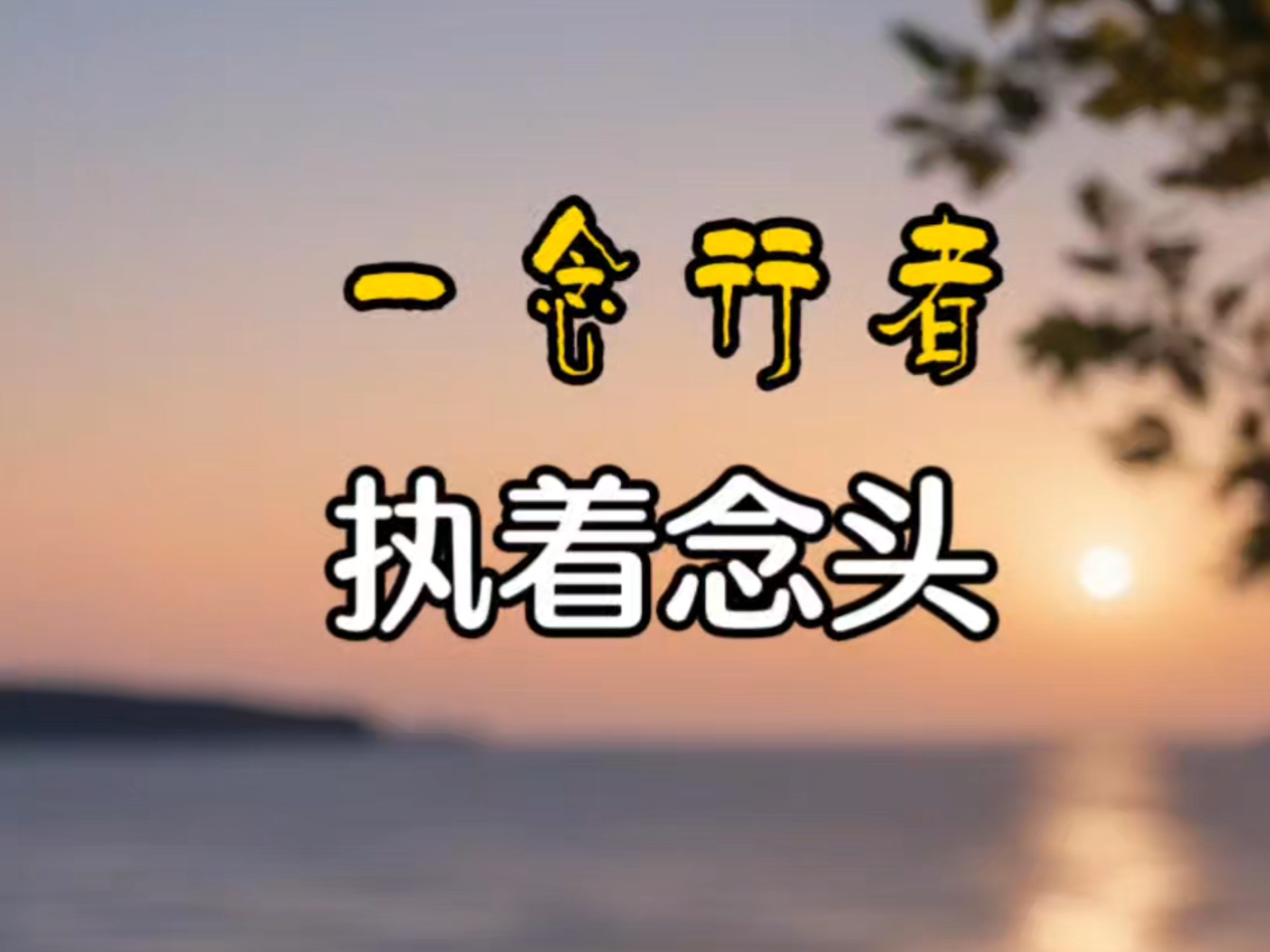 执着的读音(执着的读音和解释)