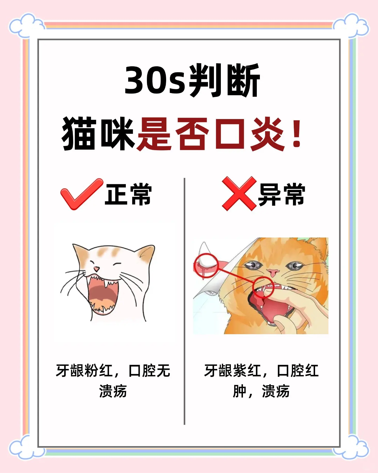 怎么判断猫咪发烧了(猫发烧最快的处理方式)