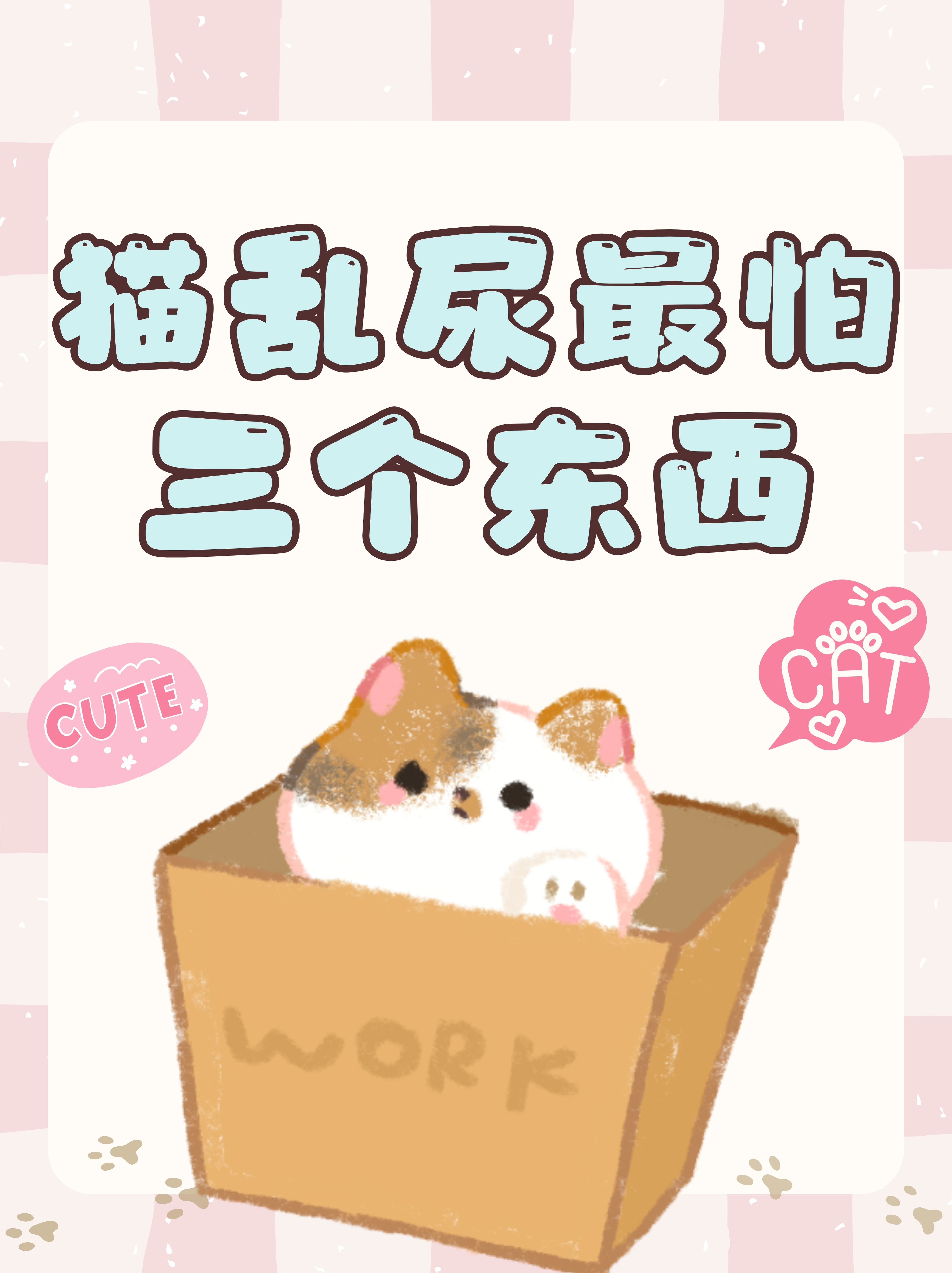 猫来家里有什么预兆(猫来家里赶都赶不走是什么意思)