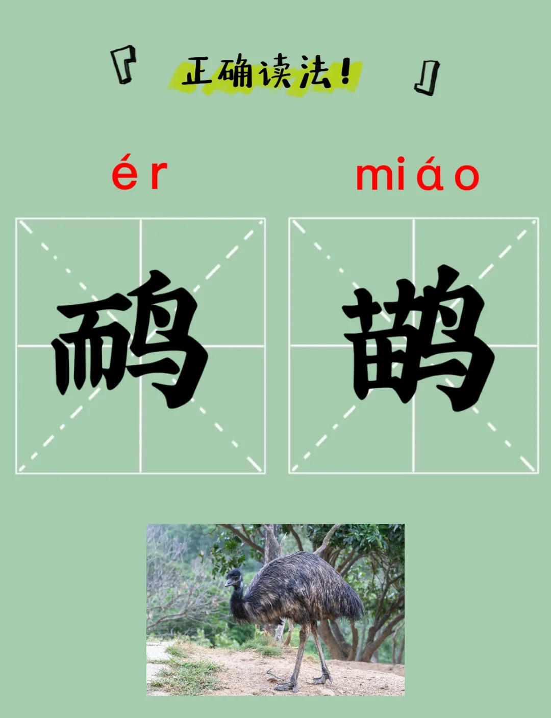 翬的读音(heαⅴy的读音) 翬的读音(heαⅴy的读音)