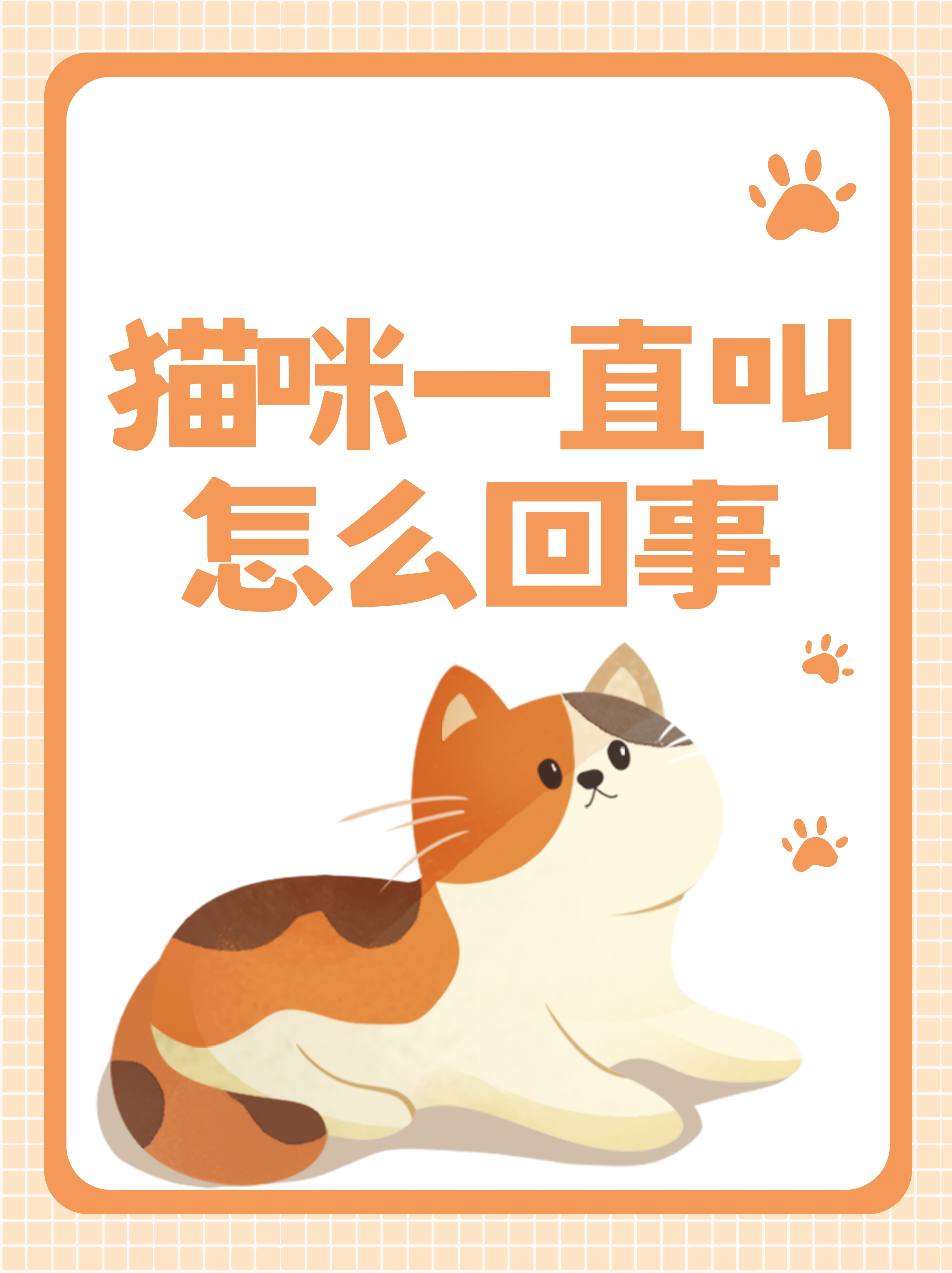 猫咪半夜嗷嗷叫是什么原因(猫咪半夜嗷嗷叫是什么原因引起的)