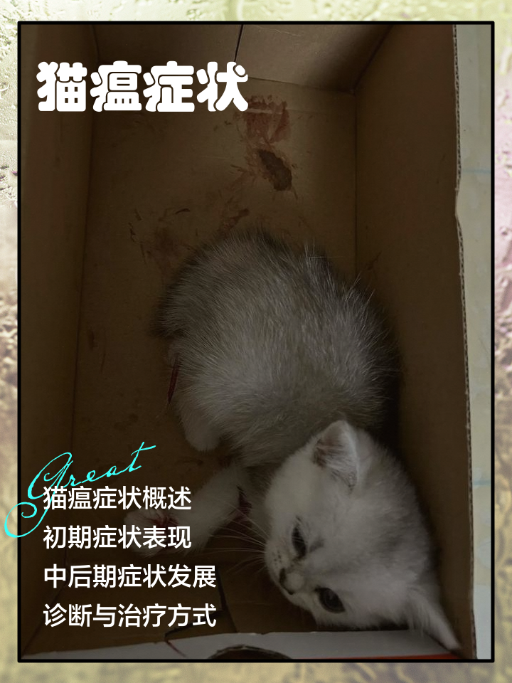 猫瘟会传染给猫吗(猫瘟会不会传染给猫)