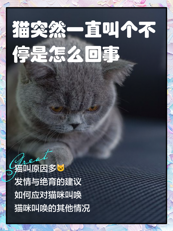 猫老是叫唤是怎么回事(猫老是叫唤是怎么回事然后躲起来) 猫老是叫唤是怎么回事(猫老是叫唤是怎么回事然后躲起来)