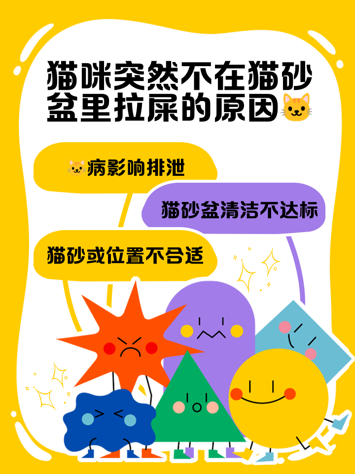 猫突然不吃东西了是为什么(猫突然不吃东西也不动是什么原因)
