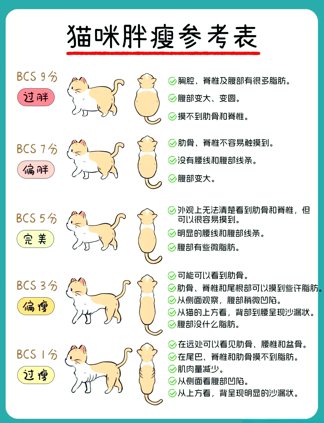 英短猫吃什么胖的最快的简单介绍