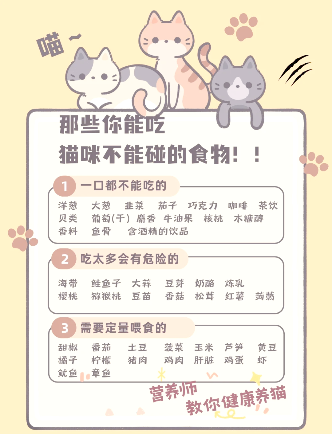 猫能吃的20种食物(猫猫可以吃的食物有哪些)