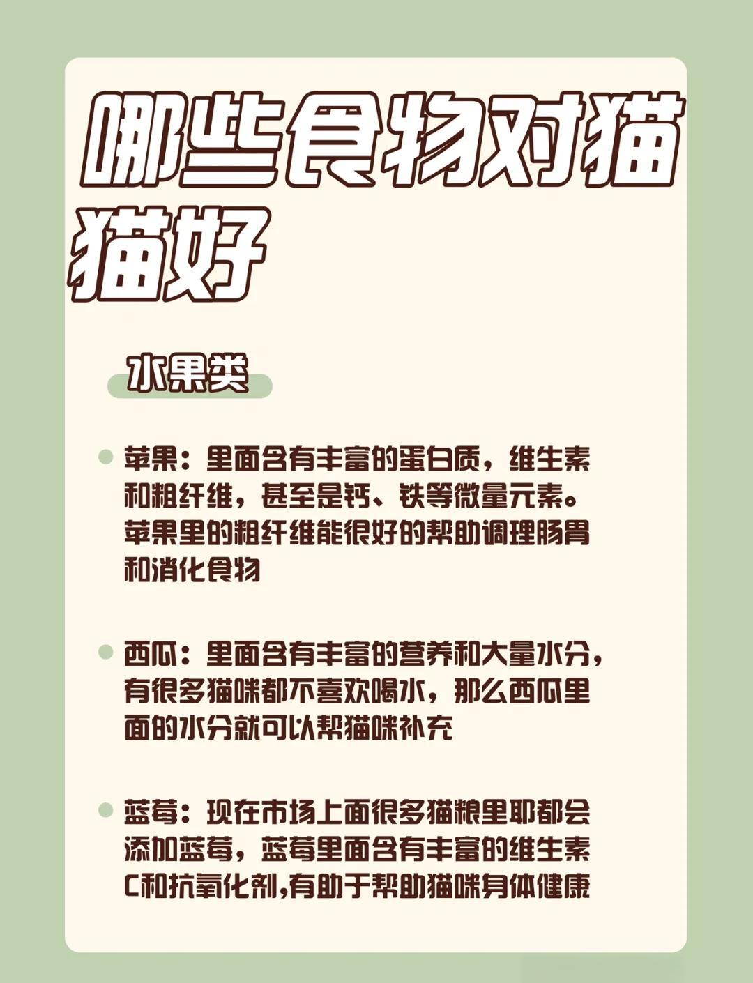 猫能吃的20种食物(猫猫可以吃的食物有哪些) 猫能吃的20种食物(猫猫可以吃的食物有哪些)