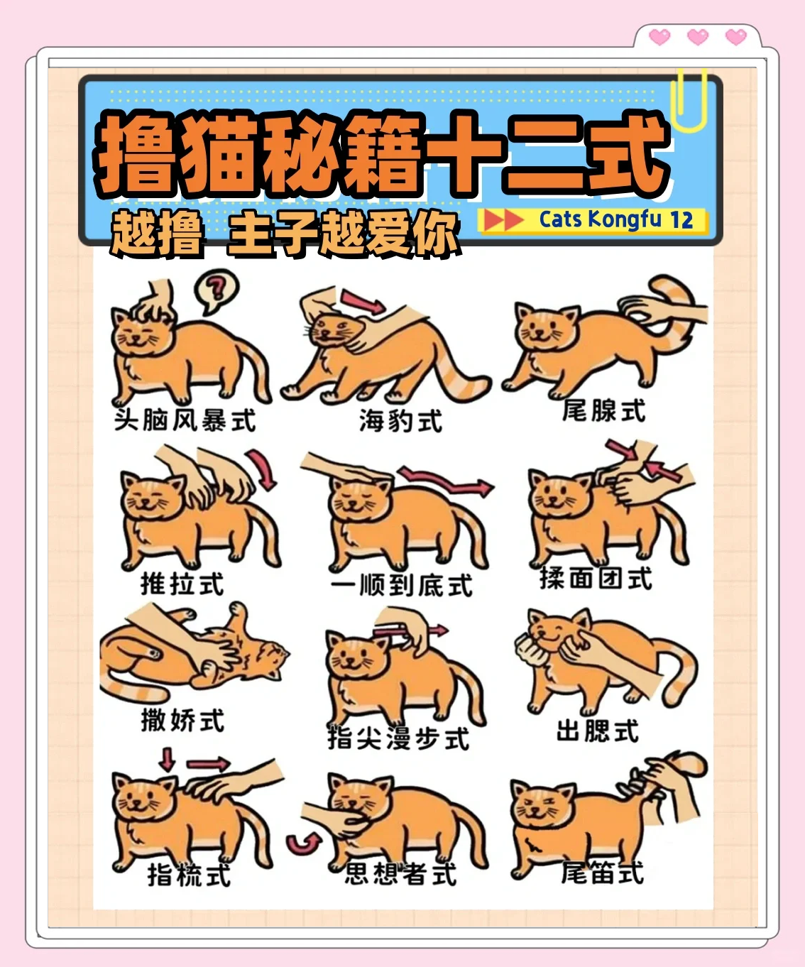 猫咪每晚抓门如何改正(猫咪每晚抓门如何改正它的姿势) 猫咪每晚抓门如何改正(猫咪每晚抓门如何改正它的姿势)