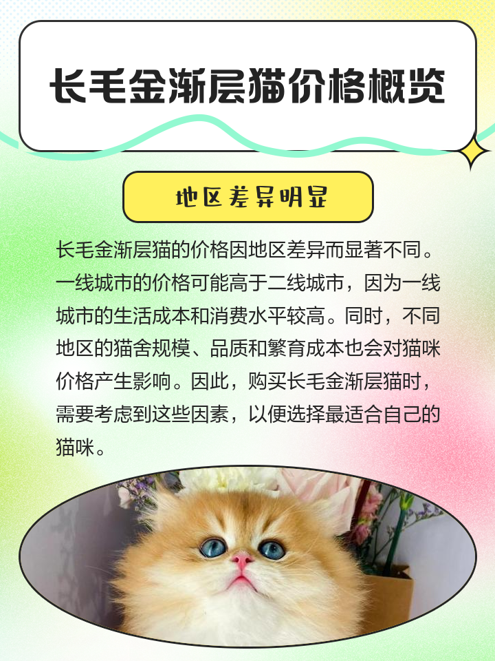 金渐层价格(金渐层价格多少钱一只)