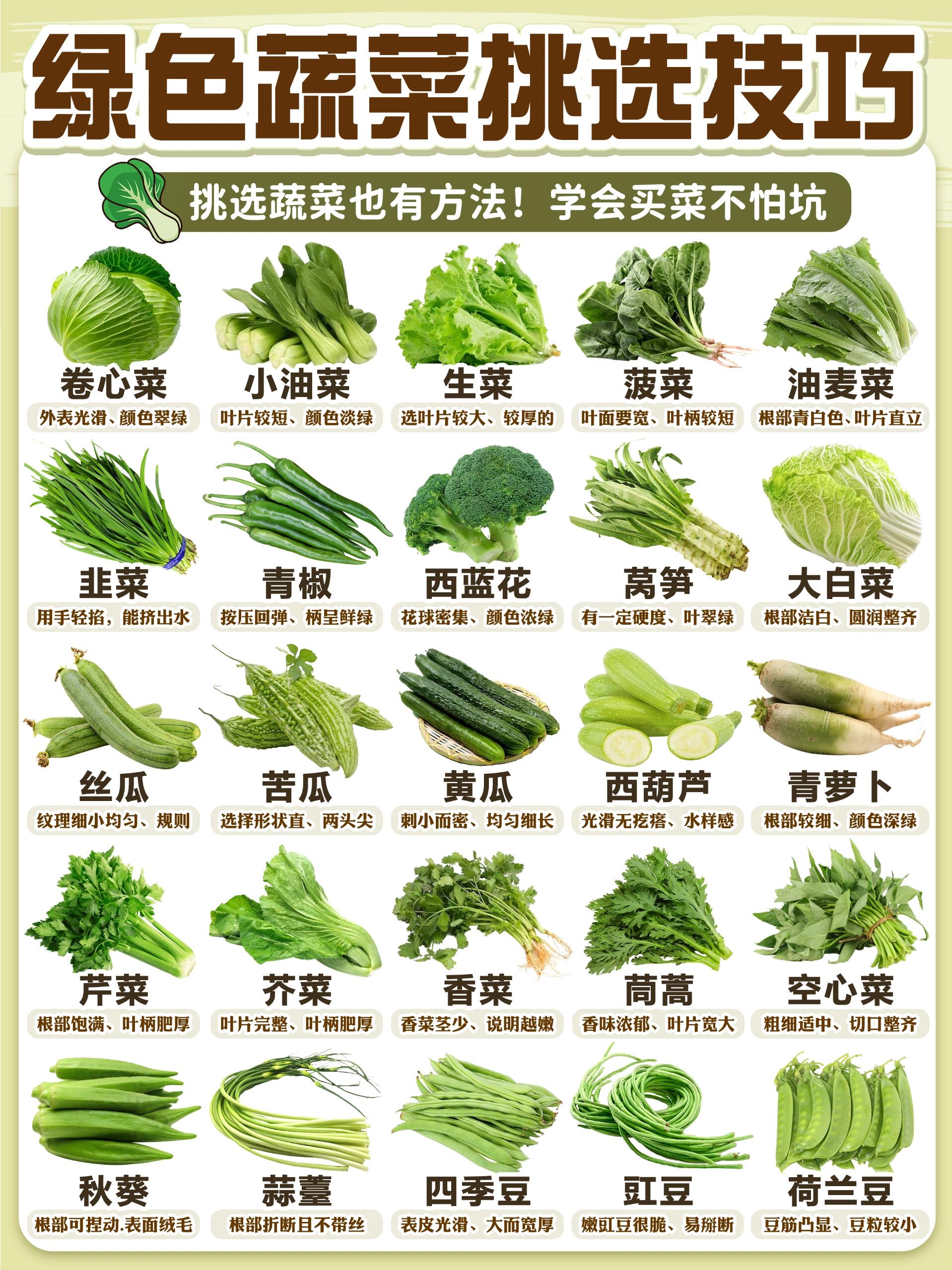 莴笋叶和油麦菜的区别(莴笋叶和油麦菜的区别在哪里) 莴笋叶和油麦菜的区别(莴笋叶和油麦菜的区别在哪里)