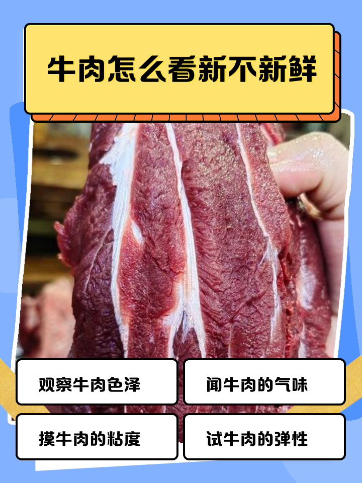 调理牛肉是真牛肉吗(调理牛肉是不是真正的肉) 调理牛肉是真牛肉吗(调理牛肉是不是真正的肉)
