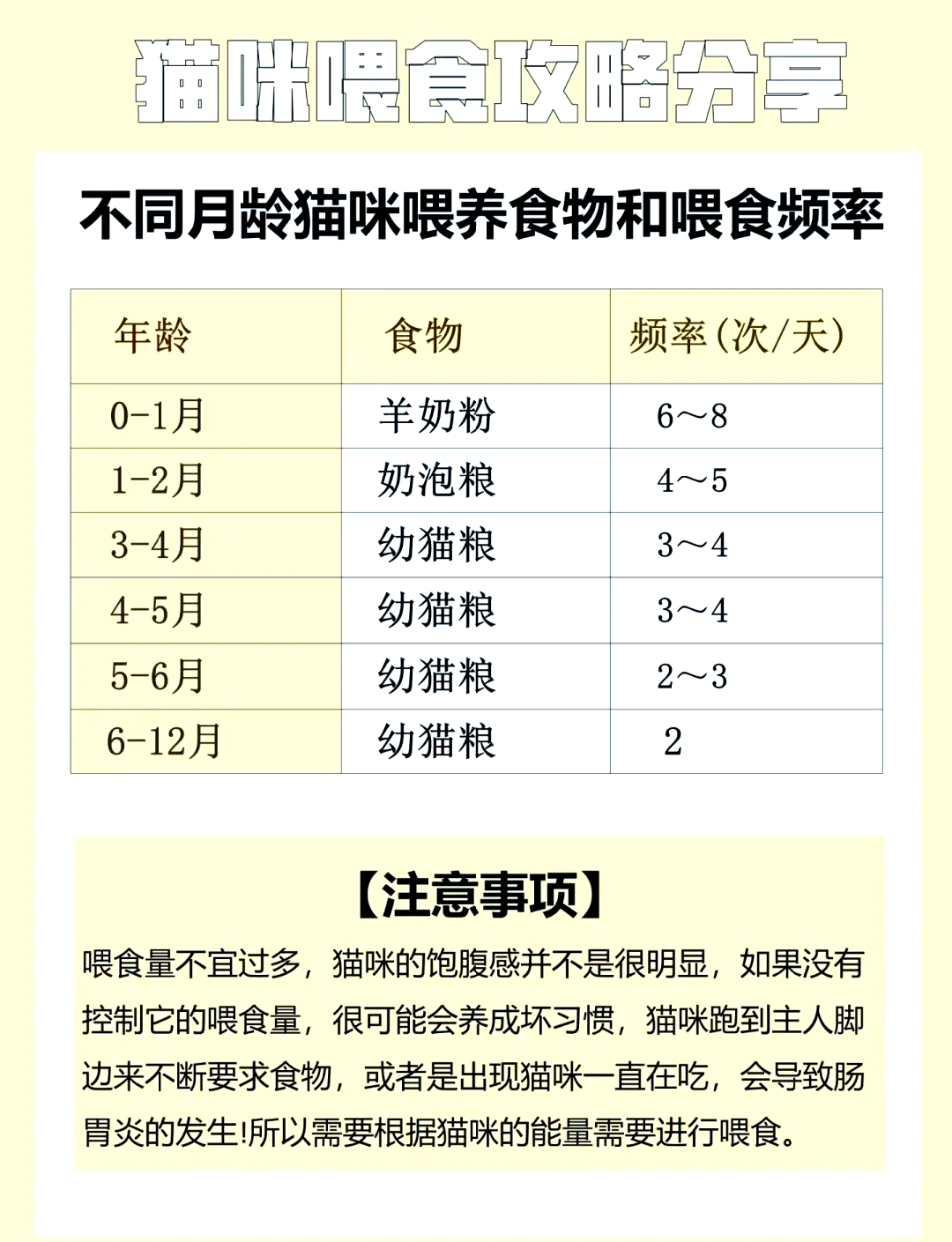 猫能吃瓜子吗(猫能吃鸡蛋吗怎么吃) 猫能吃瓜子吗(猫能吃鸡蛋吗怎么吃)