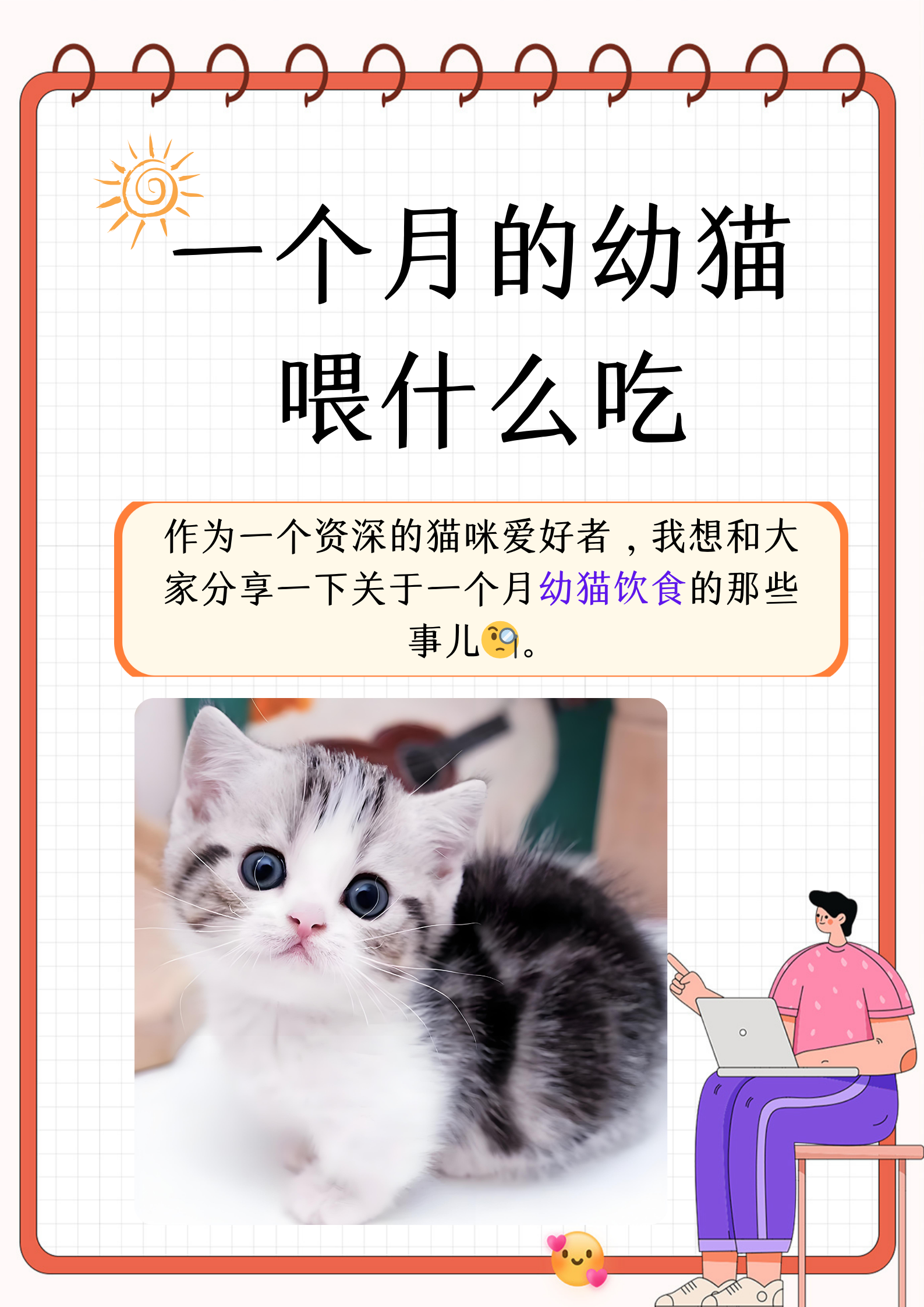 猫咪能吃什么(猫咪能吃什么食物)