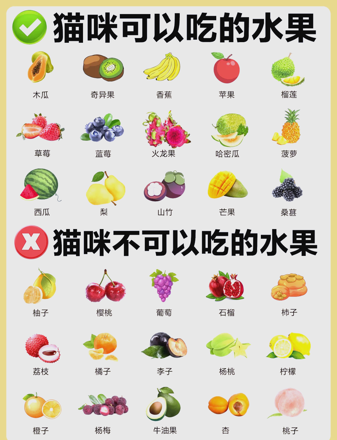 猫可以吃苹果吗(猫咪十大禁忌水果)