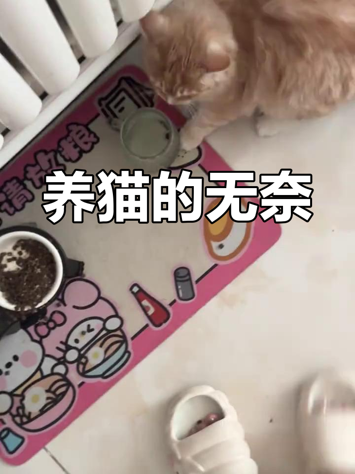 幼猫突然变得亢奋乱跑还咬人(幼猫突然爱咬人很兴奋怎么回事)