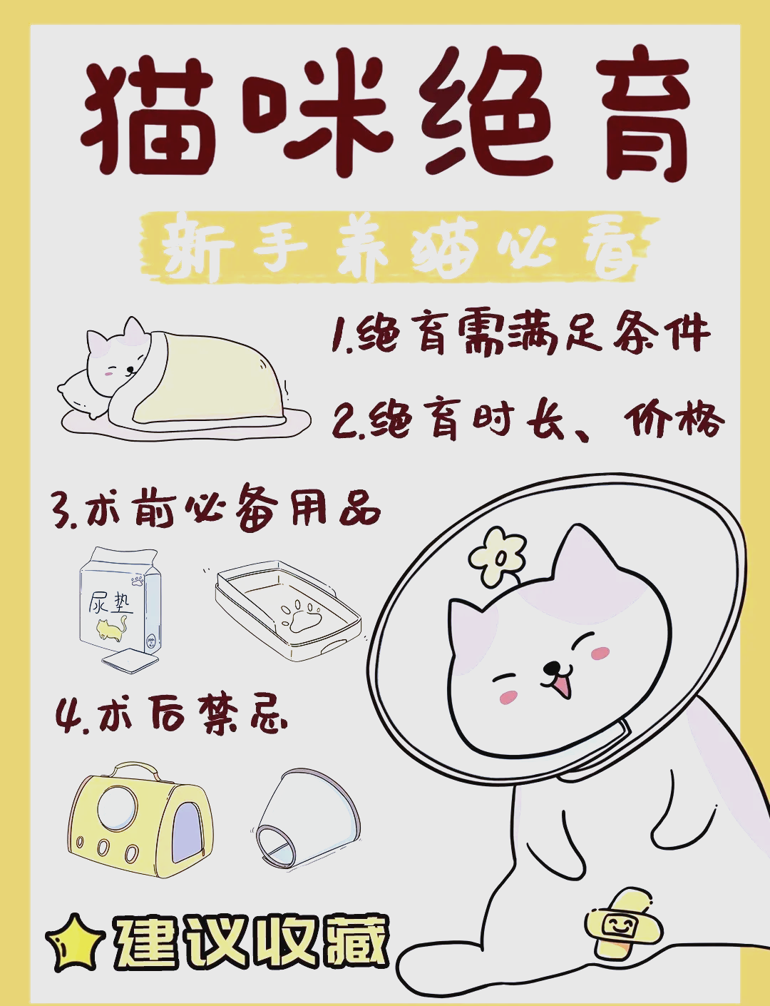 猫绝育后多久可以吃东西(猫绝育后多久可以吃东西了) 猫绝育后多久可以吃东西(猫绝育后多久可以吃东西了)