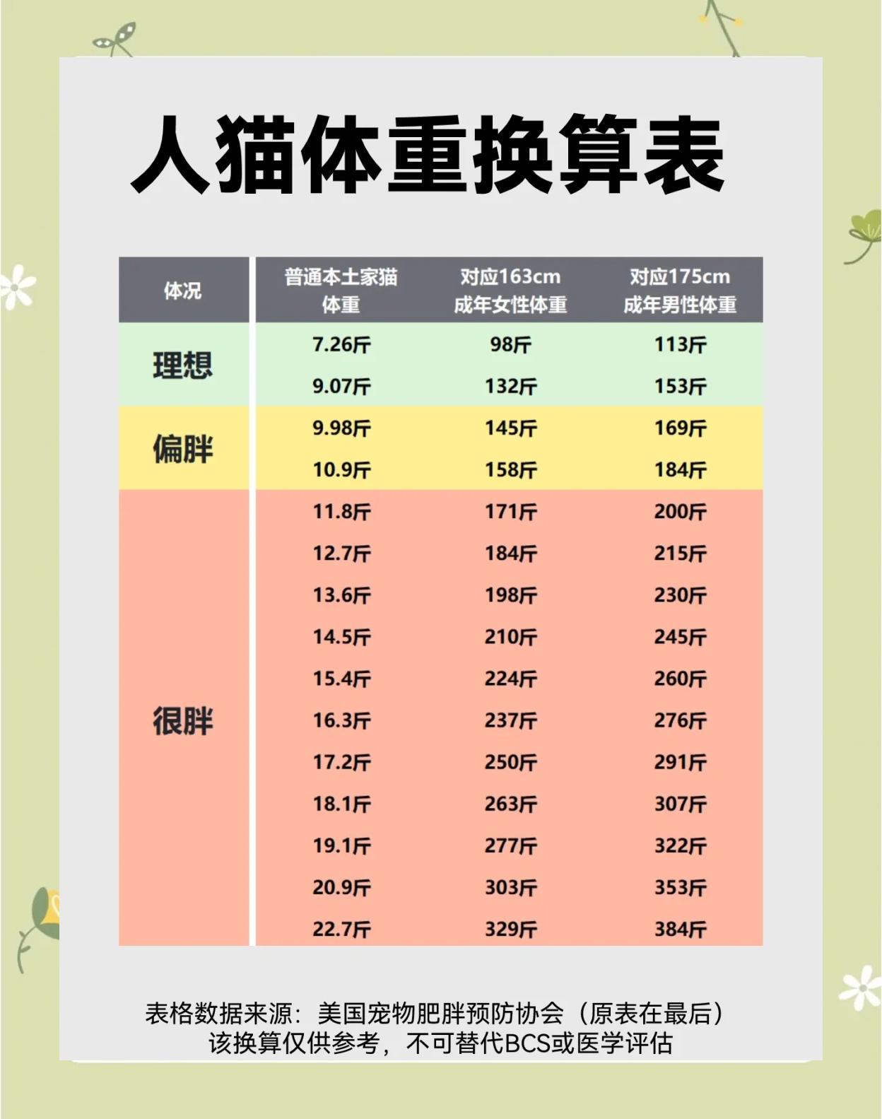 小猫几个月算成年猫(请问小猫几个月大算是成年猫)