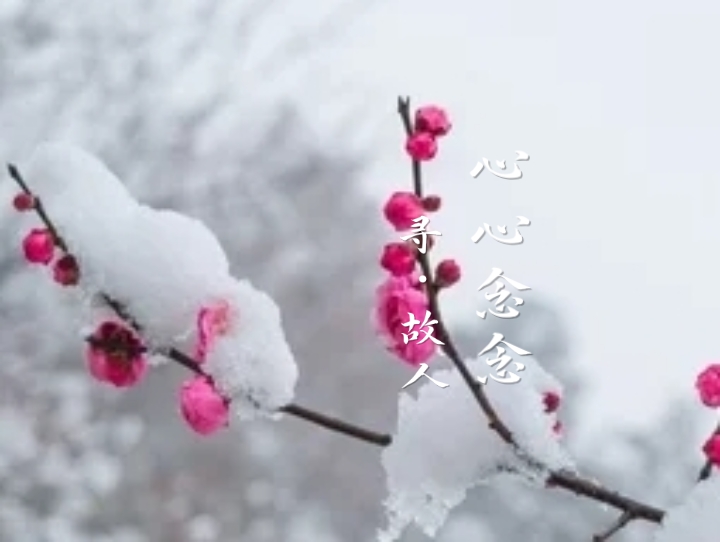 了然于心(了然于心是成语吗) 了然于心(了然于心是成语吗)