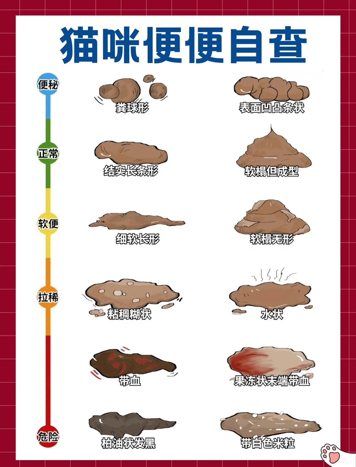 猫咪软便和拉稀的区别图片(猫咪软便和拉稀的区别图片大全) 猫咪软便和拉稀的区别图片(猫咪软便和拉稀的区别图片大全)