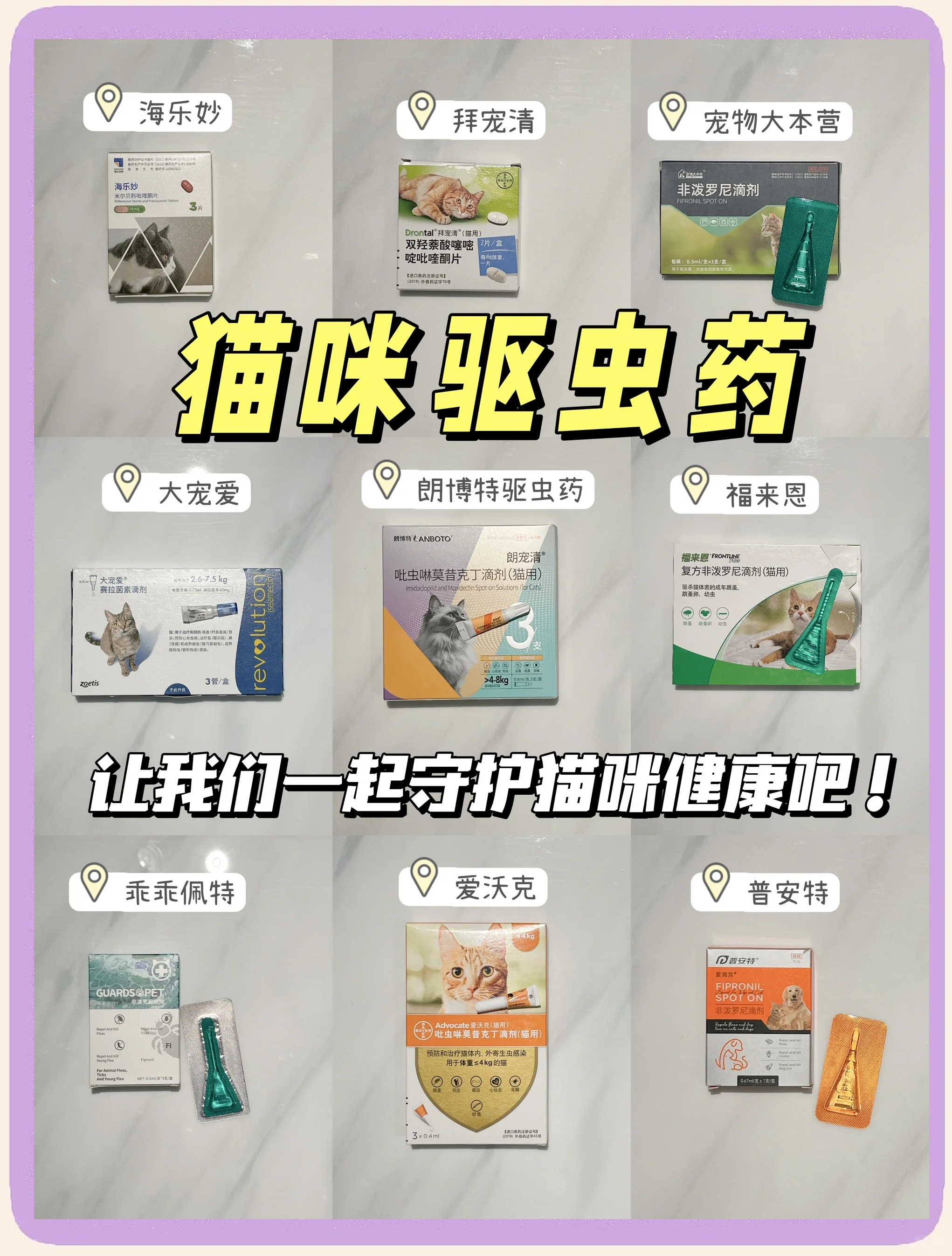 老鼠药能毒死猫吗(现在的老鼠药能毒死猫吗)