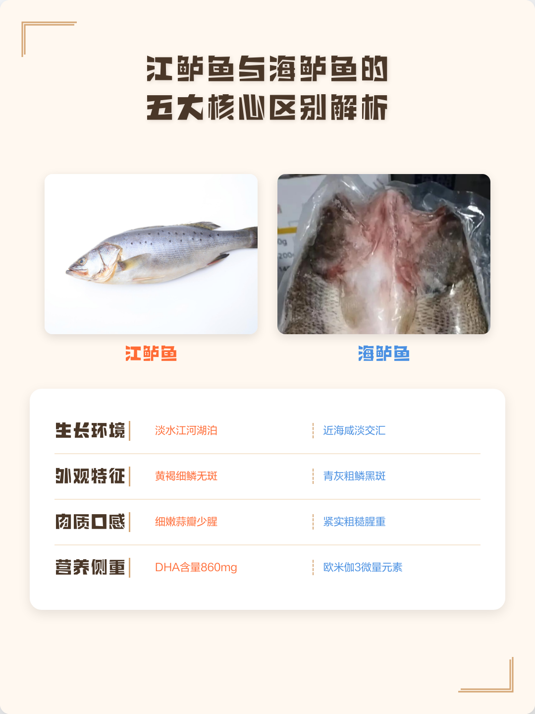 海鲈鱼和淡水鲈鱼哪个好吃(海鲈鱼多少钱一斤市场价2025)