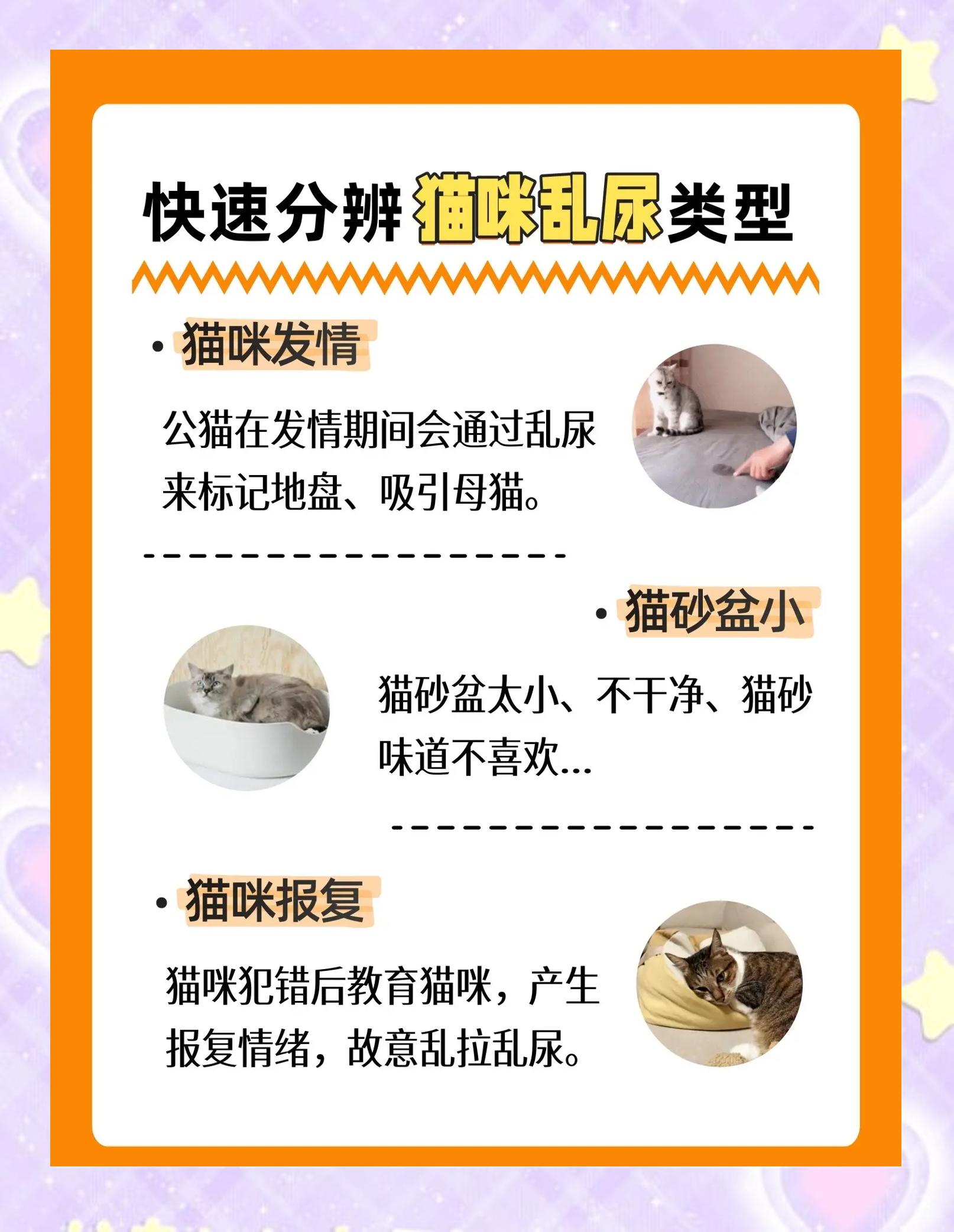 公猫乱尿怎么解决方法(公猫乱尿怎么解决方法吃什么药) 公猫乱尿怎么解决方法(公猫乱尿怎么解决方法吃什么药)