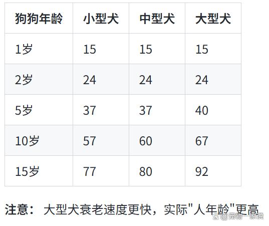 2022属狗年龄查询表(属狗的2022年多大年龄)