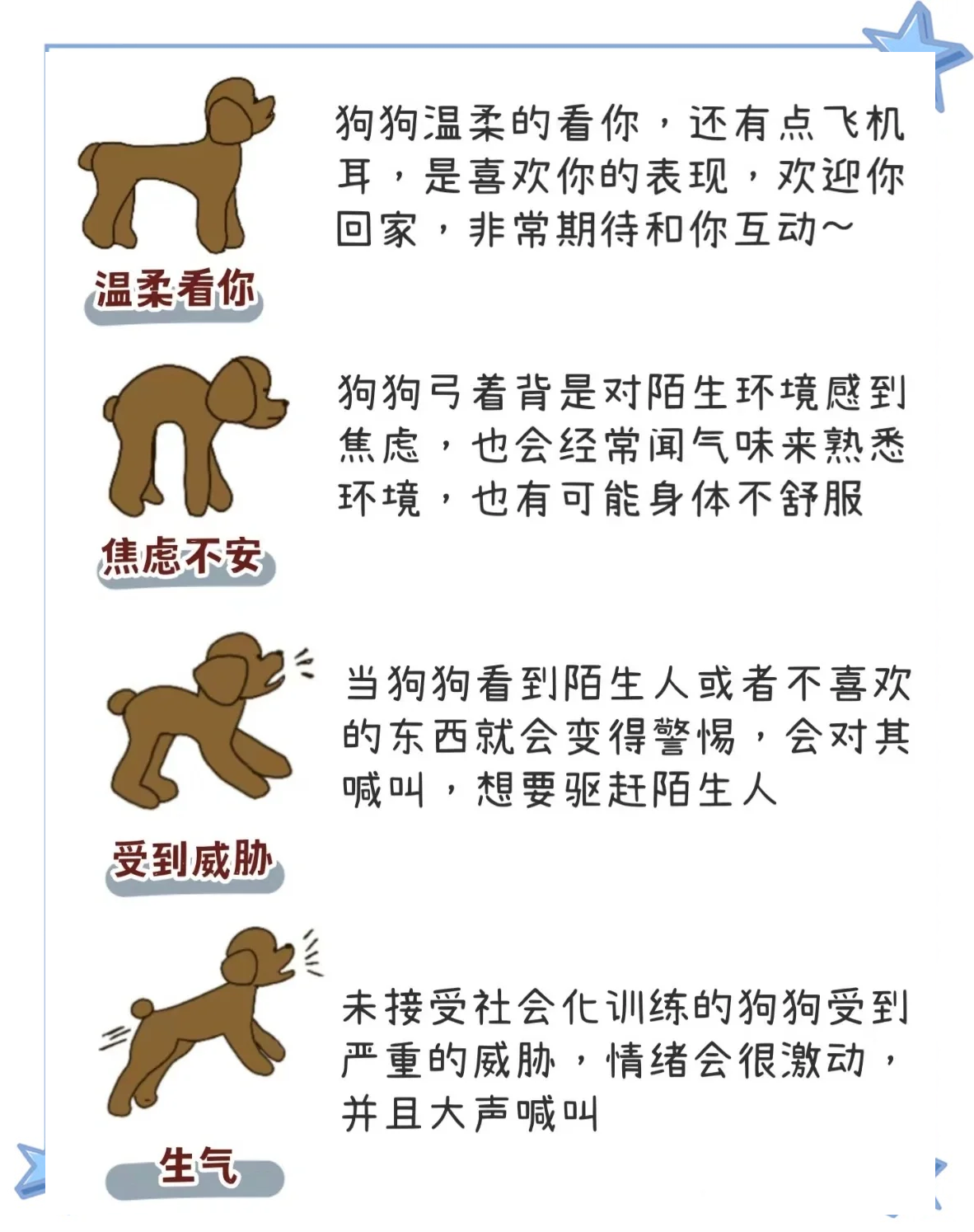 流浪狗一直跟着自己代表什么(流浪狗一直跟着自己代表什么?是好事还是需要小心?) 流浪狗一直跟着自己代表什么(流浪狗一直跟着自己代表什么?是好事还是需要小心?)