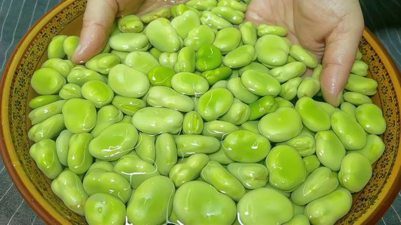 鲜胡豆怎么储藏(新鲜胡豆的储存方法)