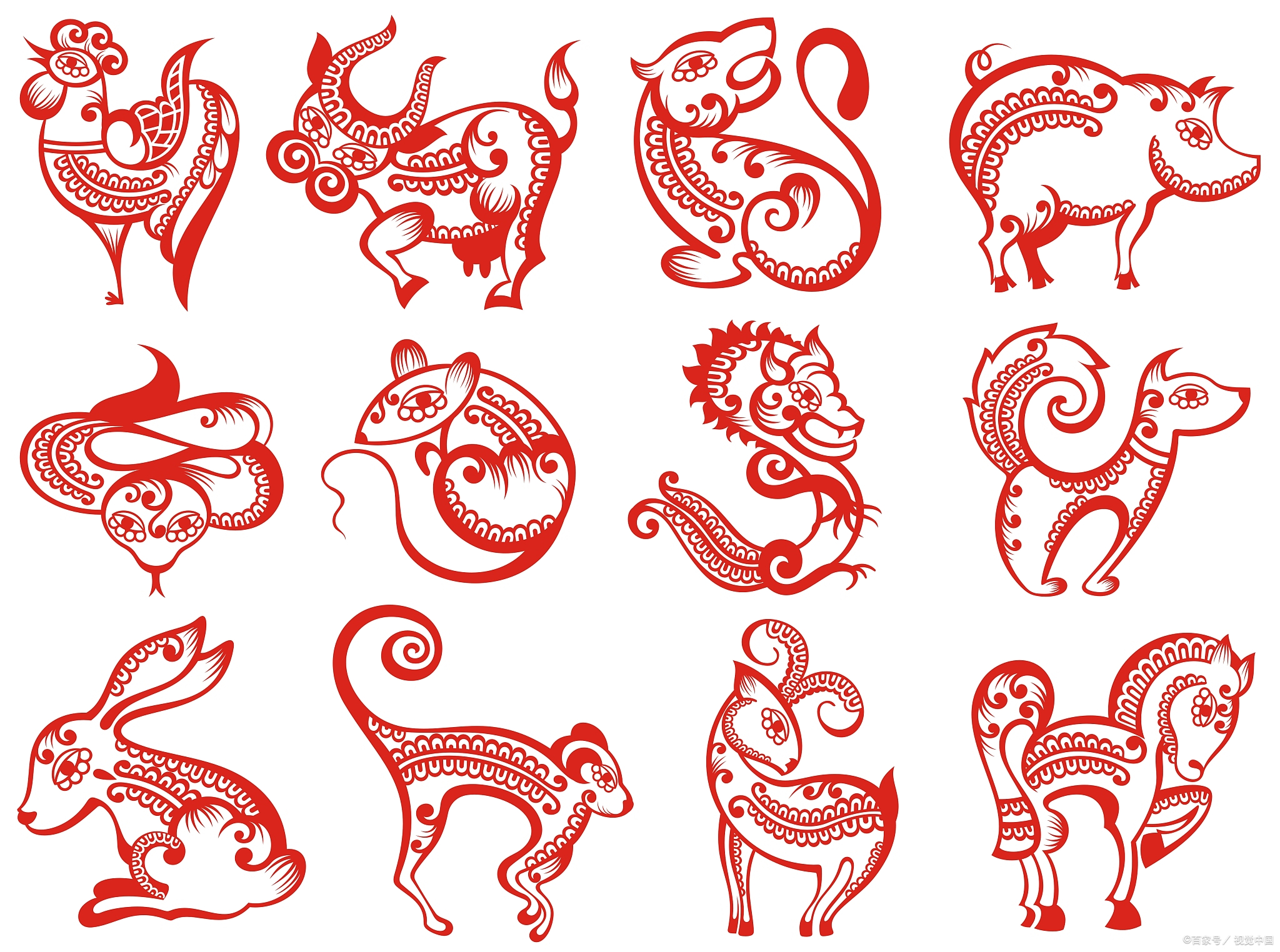 笺代表什么生肖(笺,这个字什么意思) 笺代表什么生肖(笺,这个字什么意思)