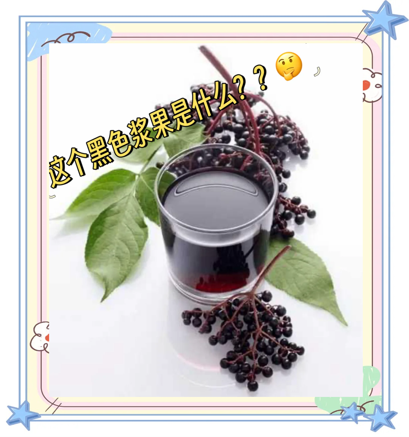 接骨木果(接骨木果实能吃吗)