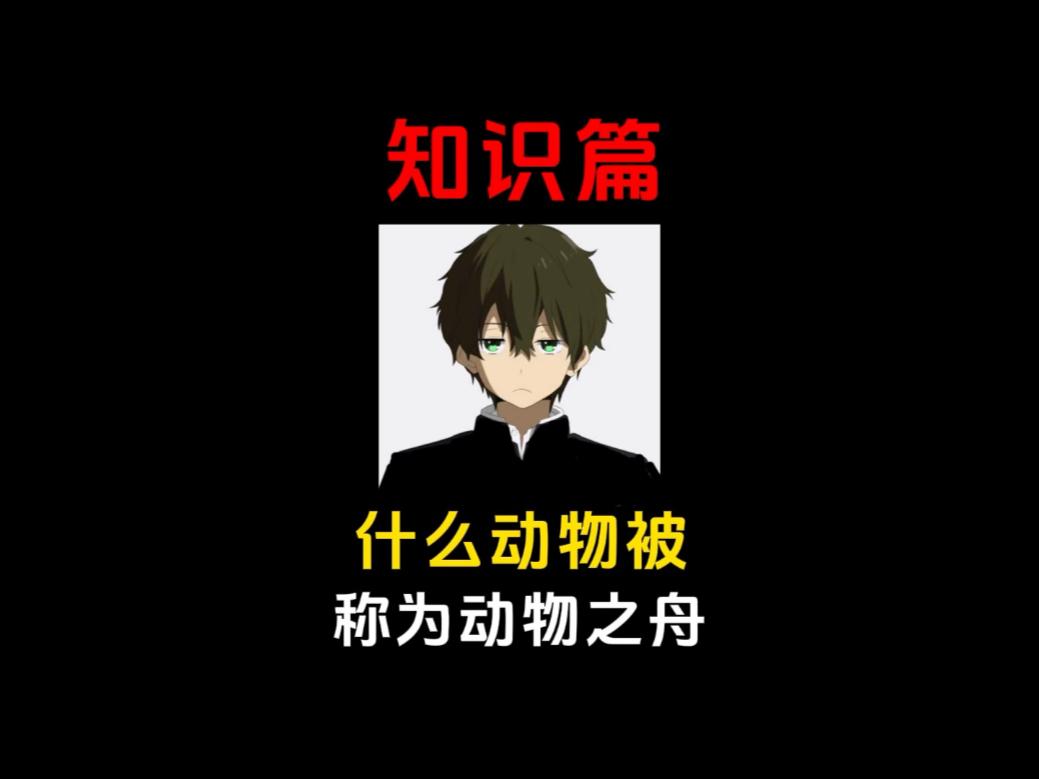 沙漠之舟是什么动物(沙漠之舟是什么动物名称) 沙漠之舟是什么动物(沙漠之舟是什么动物名称)