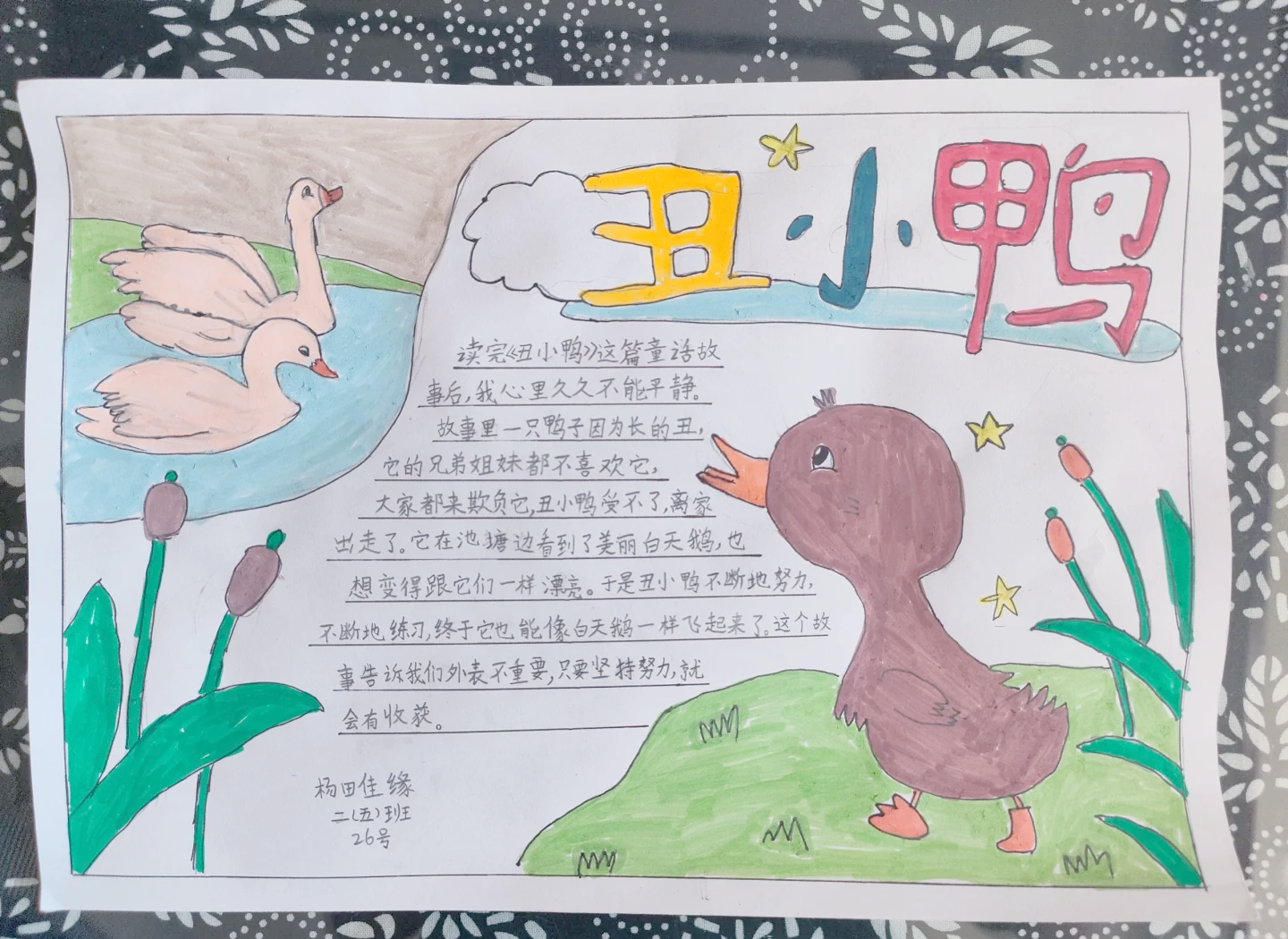 丑小鸭的故事告诉我们什么道理(丑小鸭的故事告诉我们什么道理英文) 丑小鸭的故事告诉我们什么道理(丑小鸭的故事告诉我们什么道理英文)