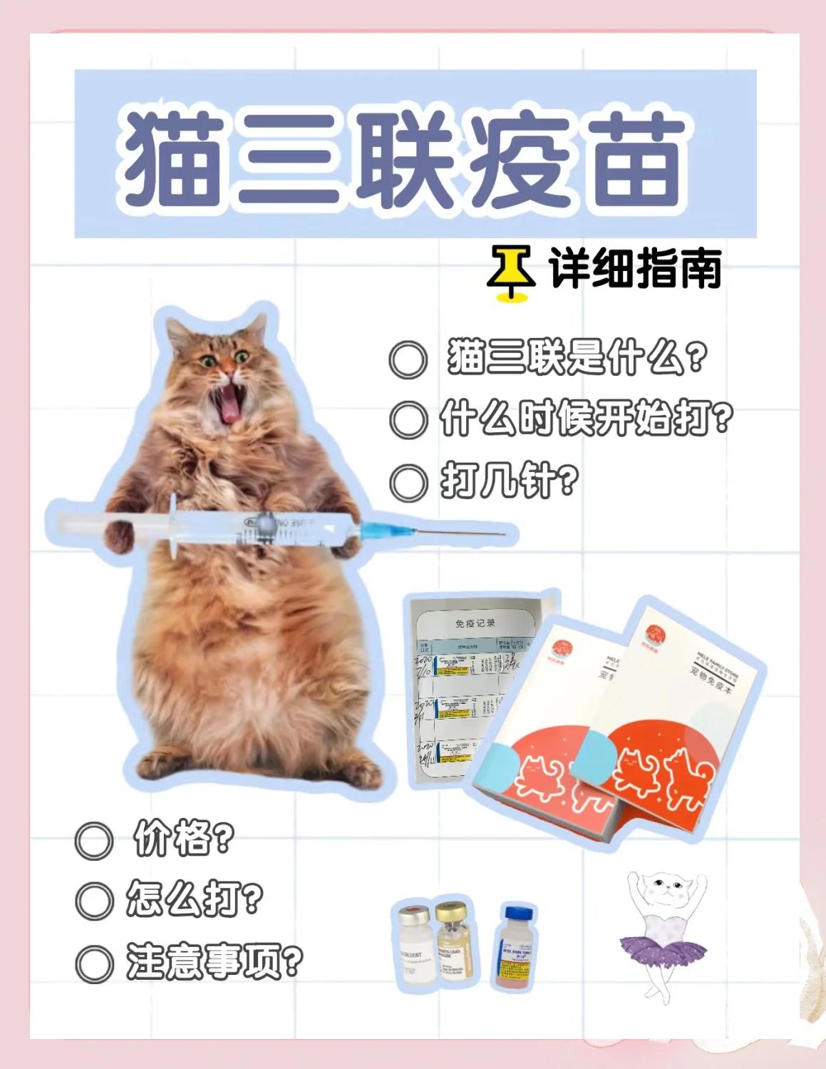 猫咪打疫苗前后要注意什么(猫咪打预防针之前应该注意啥) 猫咪打疫苗前后要注意什么(猫咪打预防针之前应该注意啥)