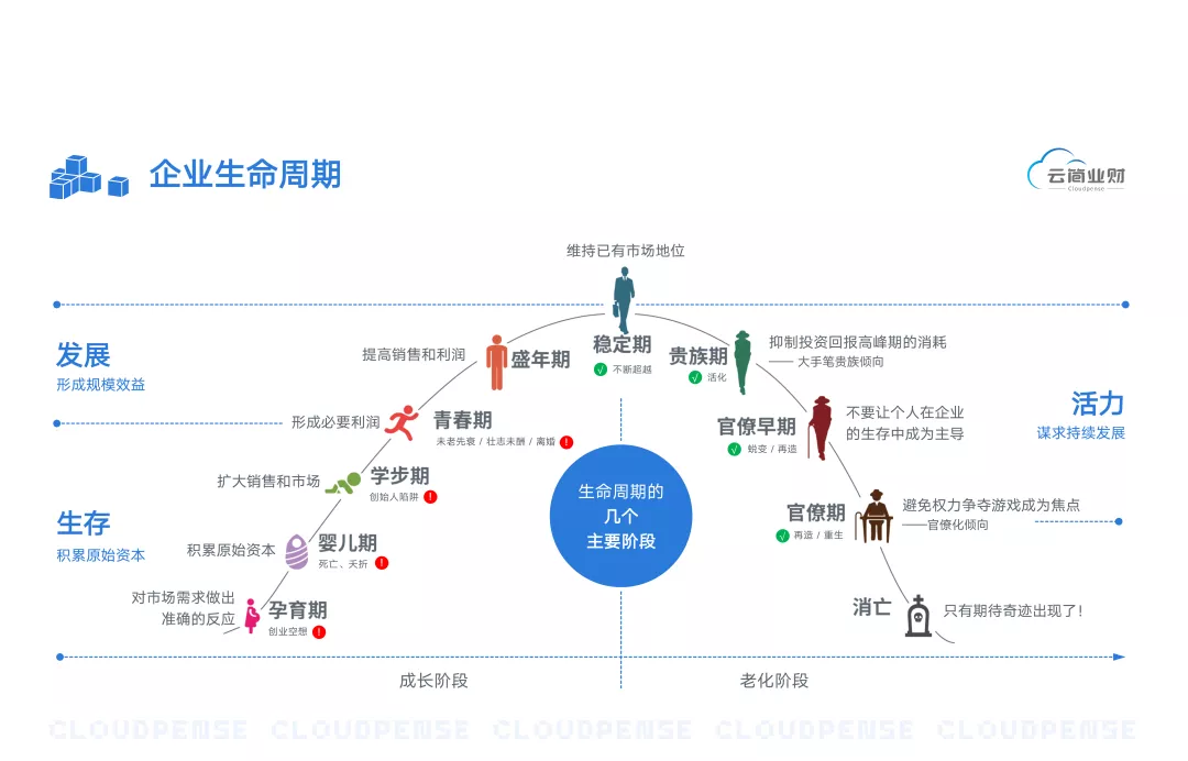 企业的生命周期分为哪几个阶段(企业的生命周期一般包括哪几个阶段)