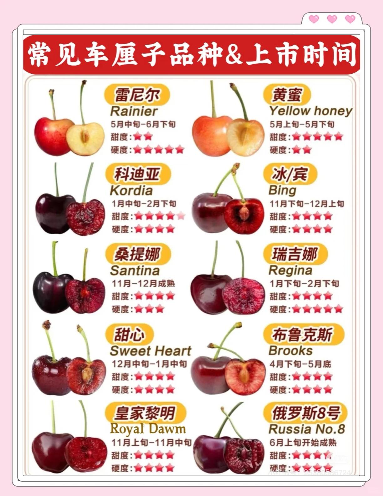 车厘子什么季节吃(车厘子什么季节吃最合适)