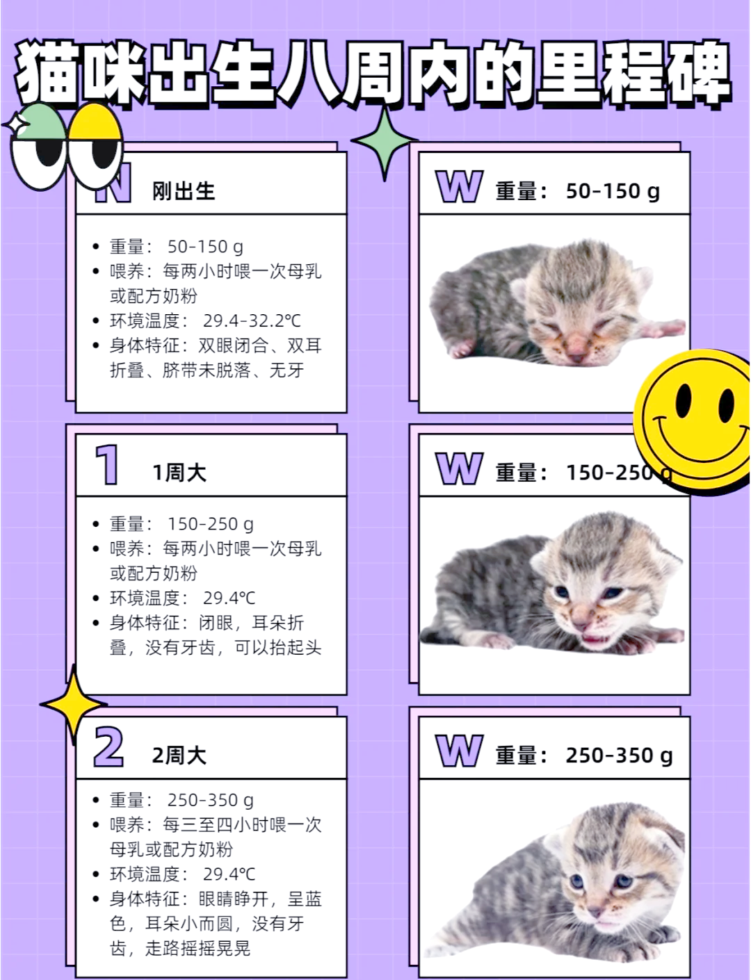 小猫生产过程需要多久(小猫生产过程需要多久时间) 小猫生产过程需要多久(小猫生产过程需要多久时间)