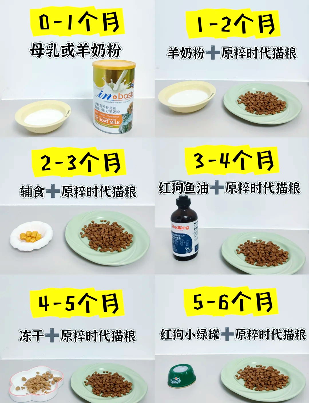 一只猫一个月吃多少斤粮(1只猫一个月要吃多少斤猫粮) 一只猫一个月吃多少斤粮(1只猫一个月要吃多少斤猫粮)