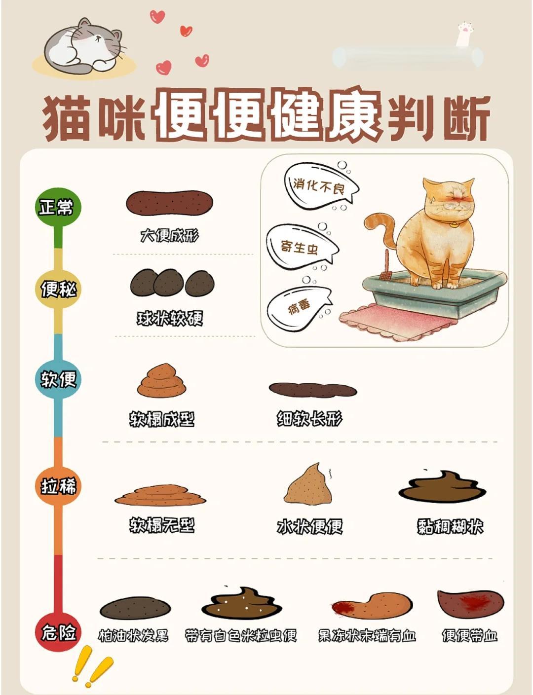 猫咪正常的便便图分级(猫咪的正常便便应该是什么样的)