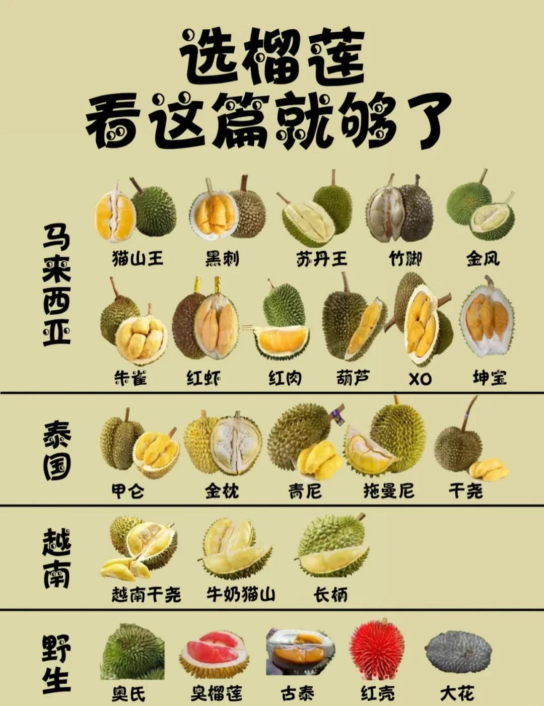 榴莲成熟度辨认(榴莲成熟度怎么看)