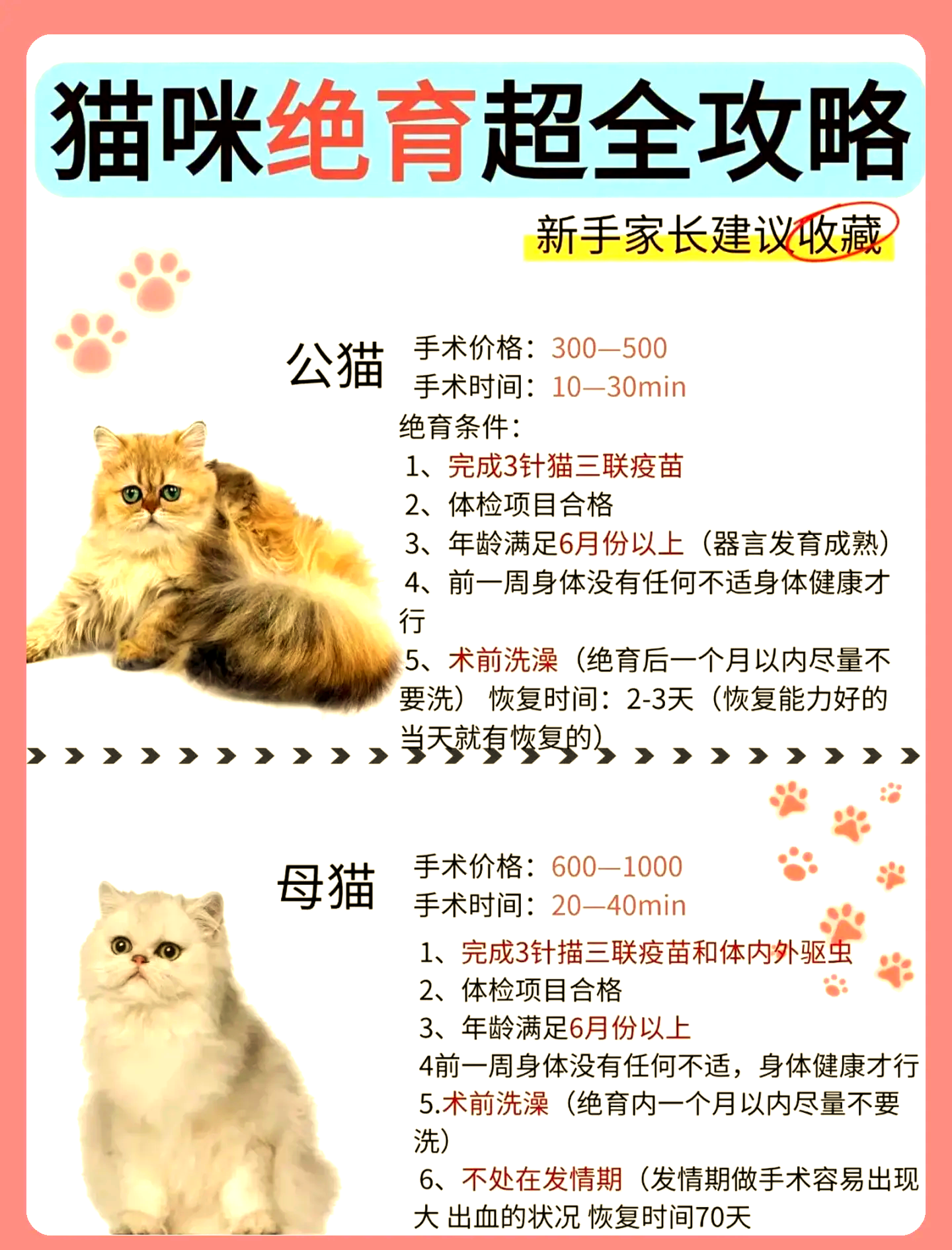猫做绝育会恨主人吗(猫做绝育会恨主人吗为什么)
