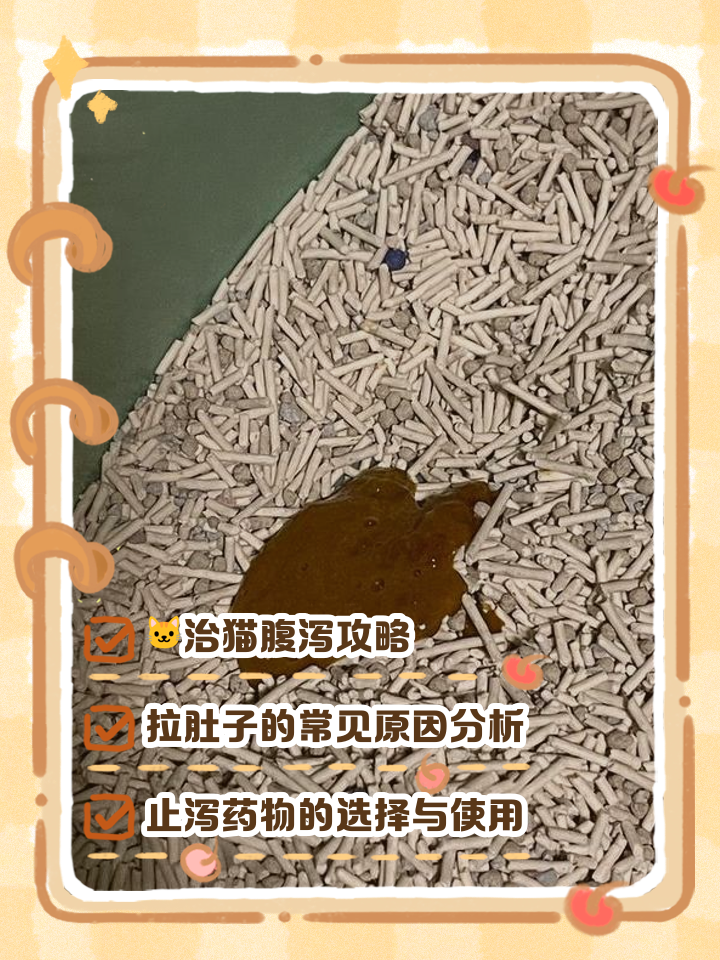 猫的肚子有气泡响声(猫的肚子有气泡响声还拉肚子但是精神状态良好) 猫的肚子有气泡响声(猫的肚子有气泡响声还拉肚子但是精神状态良好)