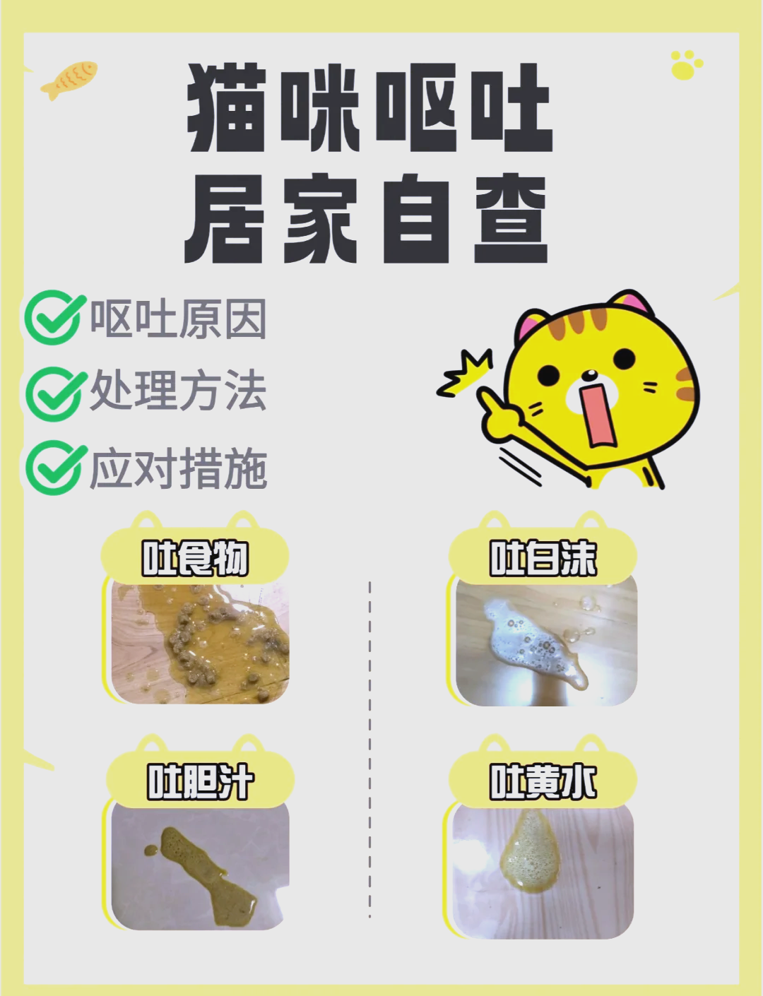 猫咪吐黄水有泡沫没有精神吃什么药的简单介绍