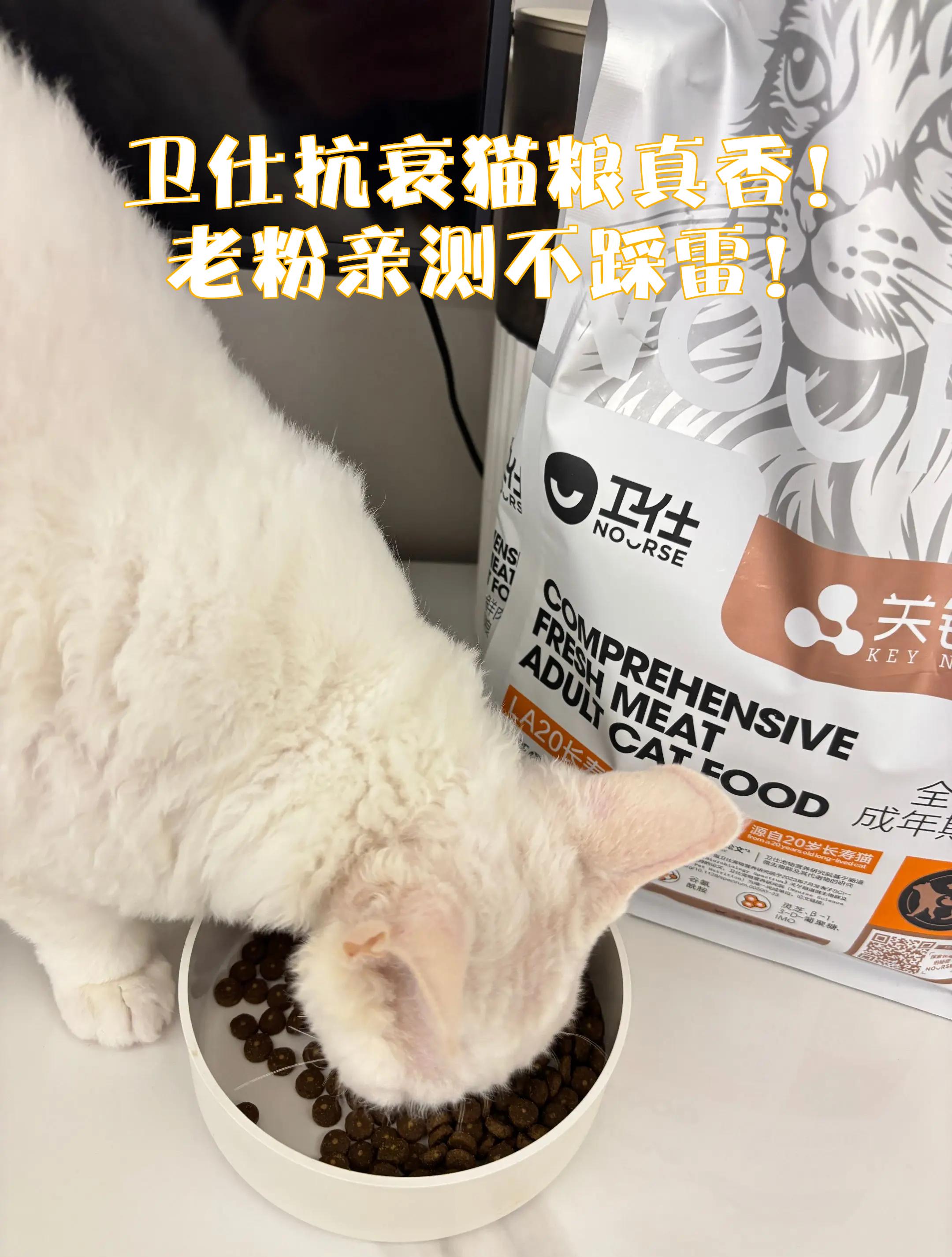卫仕猫粮属于什么档次(卫仕猫粮属于什么档次的品牌) 卫仕猫粮属于什么档次(卫仕猫粮属于什么档次的品牌)