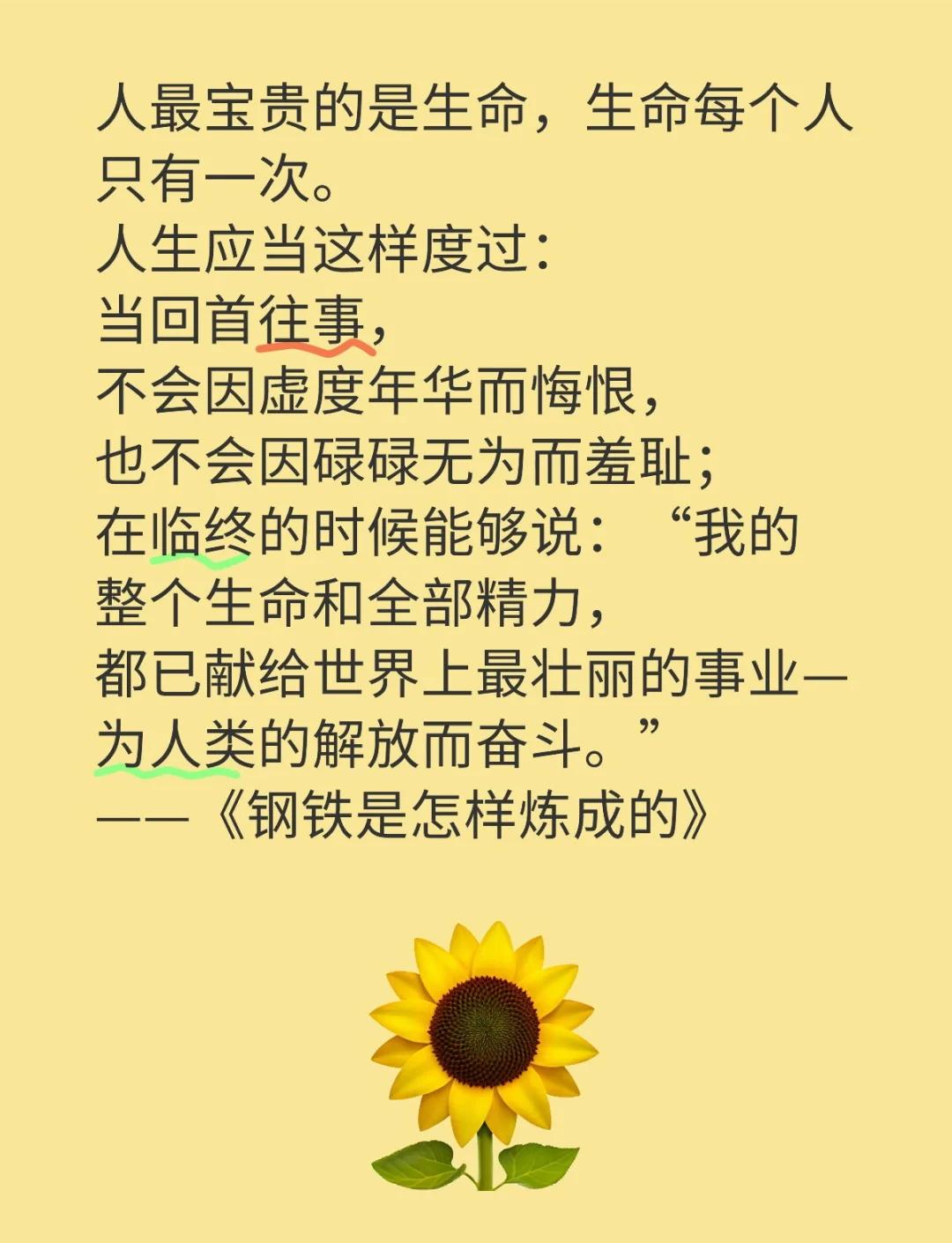 如果生命没有遗憾没有波澜(如果生命没有遗憾没有波澜你会不会) 如果生命没有遗憾没有波澜(如果生命没有遗憾没有波澜你会不会)