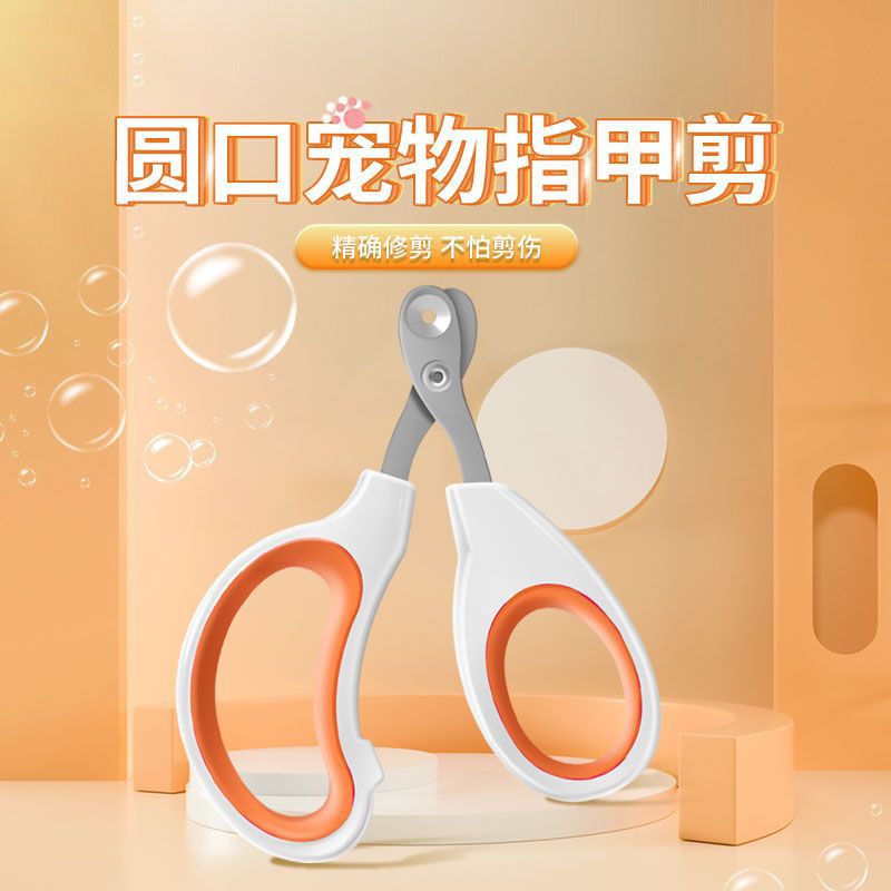 猫咪剪指甲剪出血了怎么办(猫咪剪指甲剪出血了会自愈吗?)