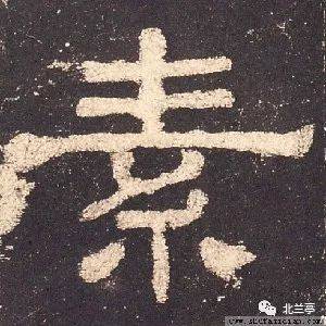 素字开头的成语(素字开头的成语有什么成语)
