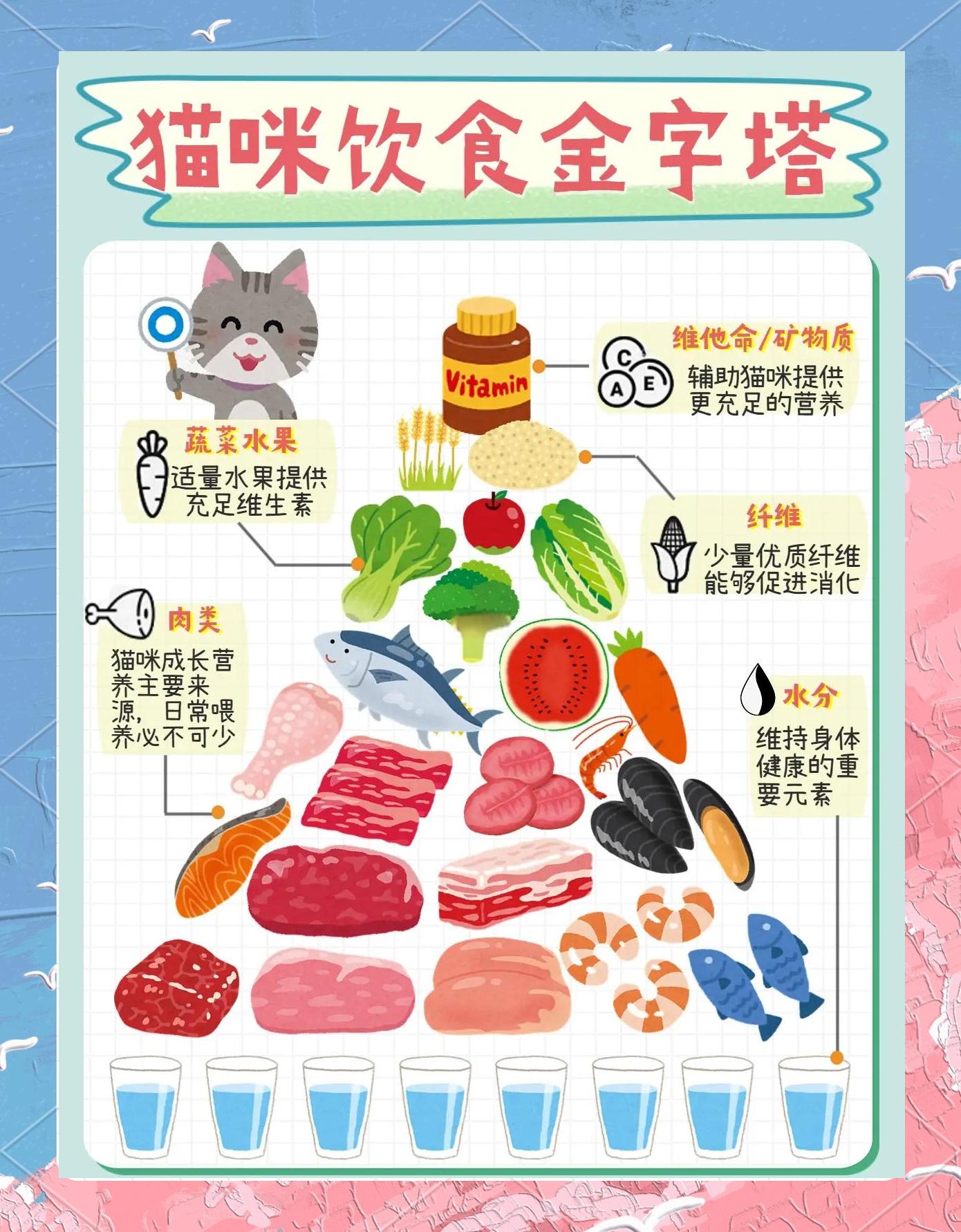 猫能吃西兰花吗(猫咪可以吃西兰花么) 猫能吃西兰花吗(猫咪可以吃西兰花么)