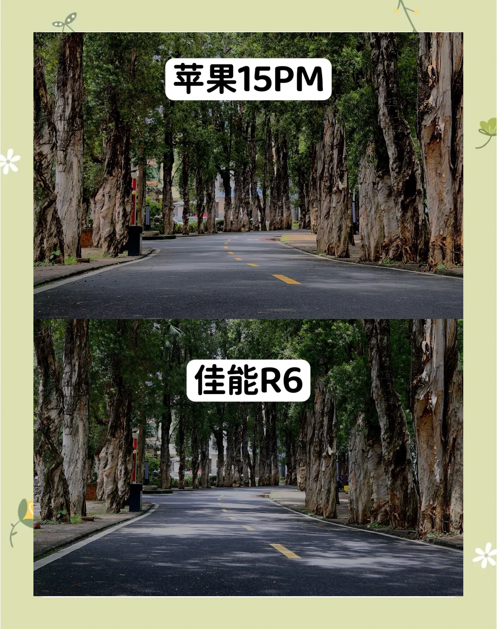 扫描和拍照的区别(手机扫描和拍照有什么区别)