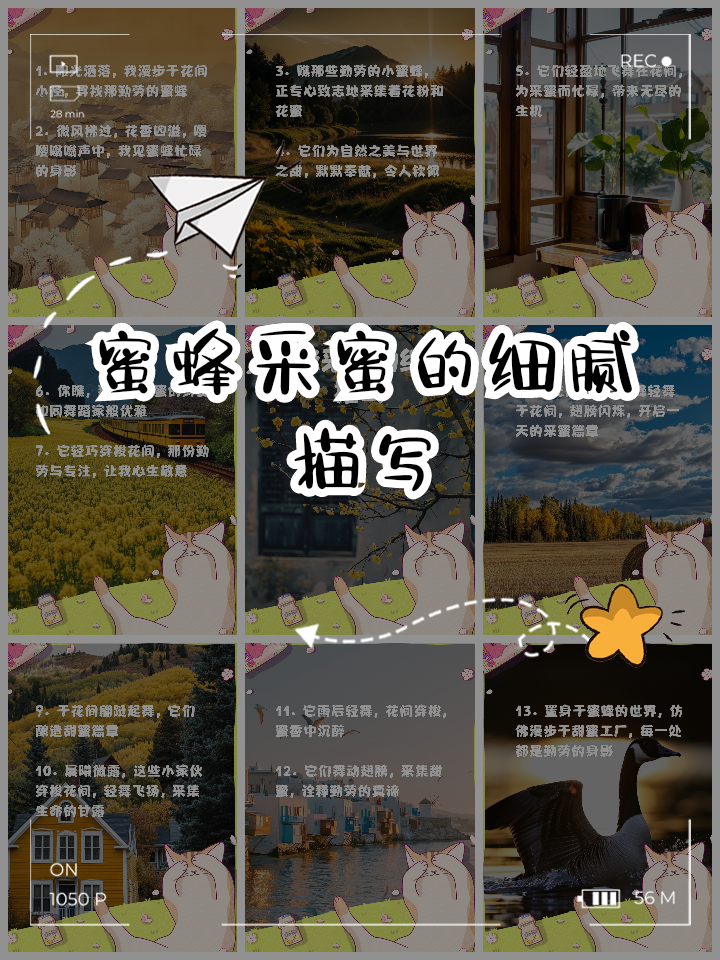 蜜蜂的窝歇后语是什么(蜜蜂的窝有什么特别之处)